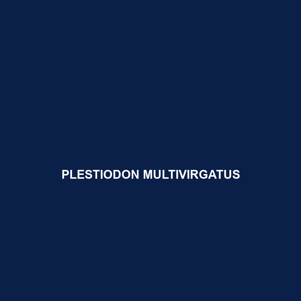 Plestiodon multivirgatus