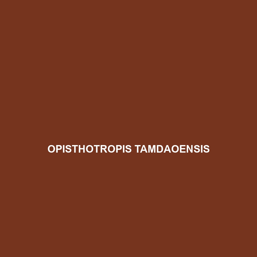 Opisthotropis tamdaoensis