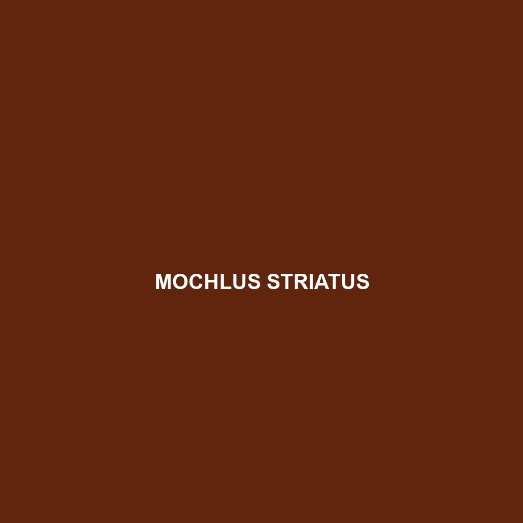 Mochlus striatus