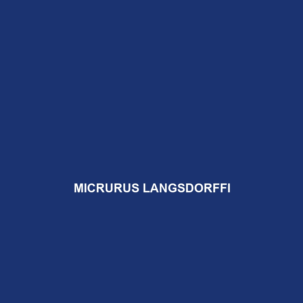 Micrurus langsdorffi