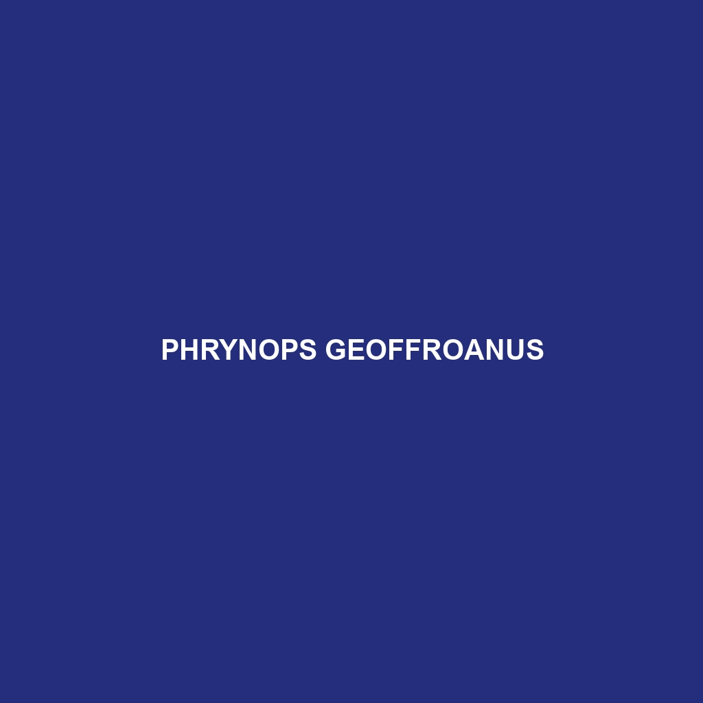 Phrynops geoffroanus