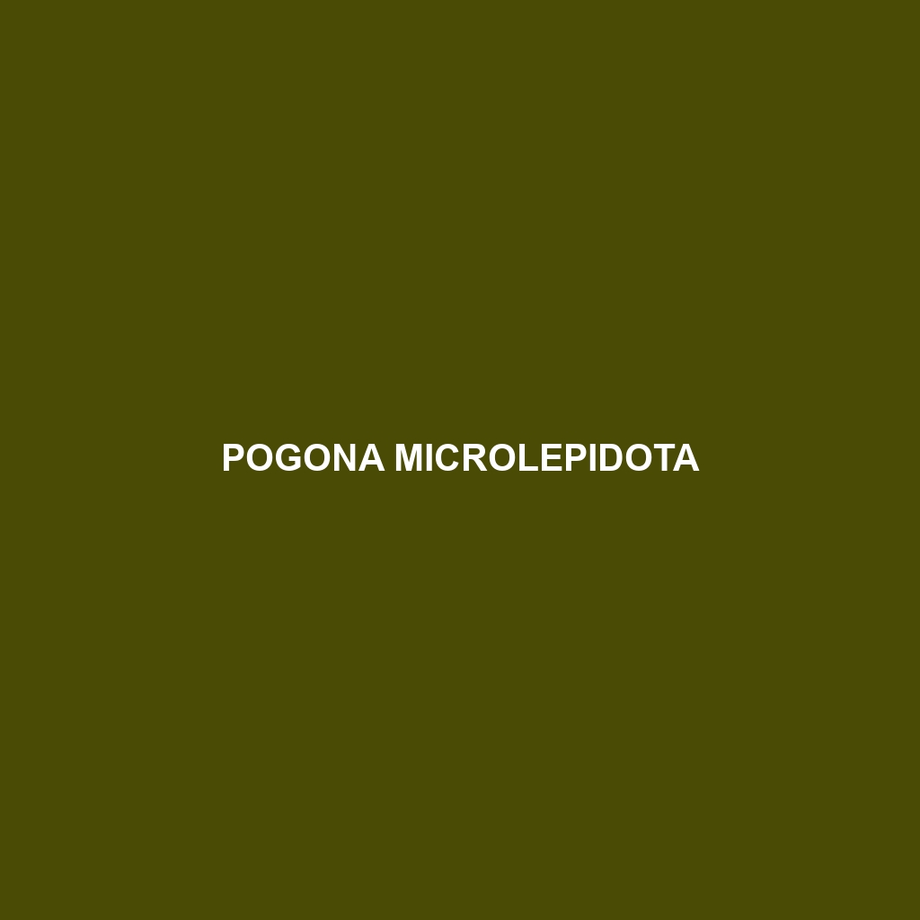 Pogona microlepidota