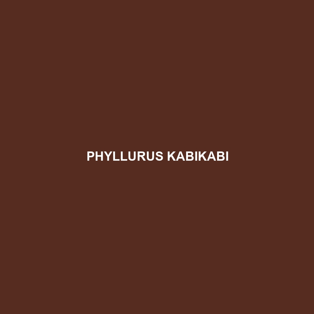 Phyllurus kabikabi