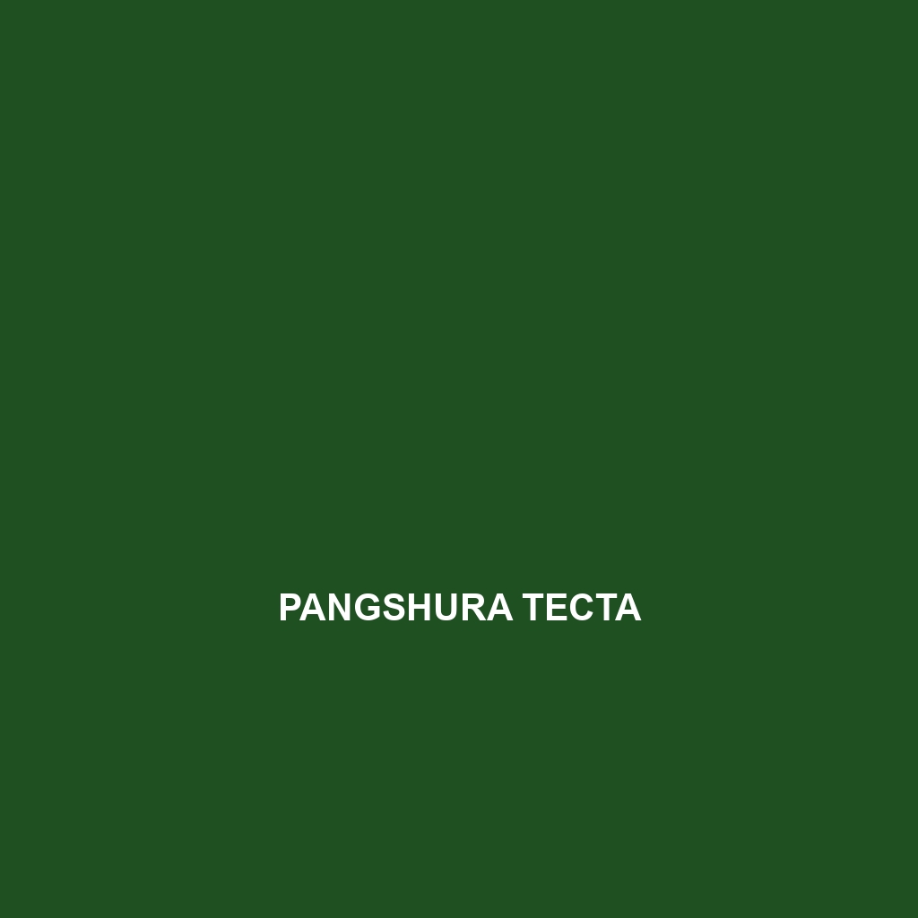 Pangshura tecta