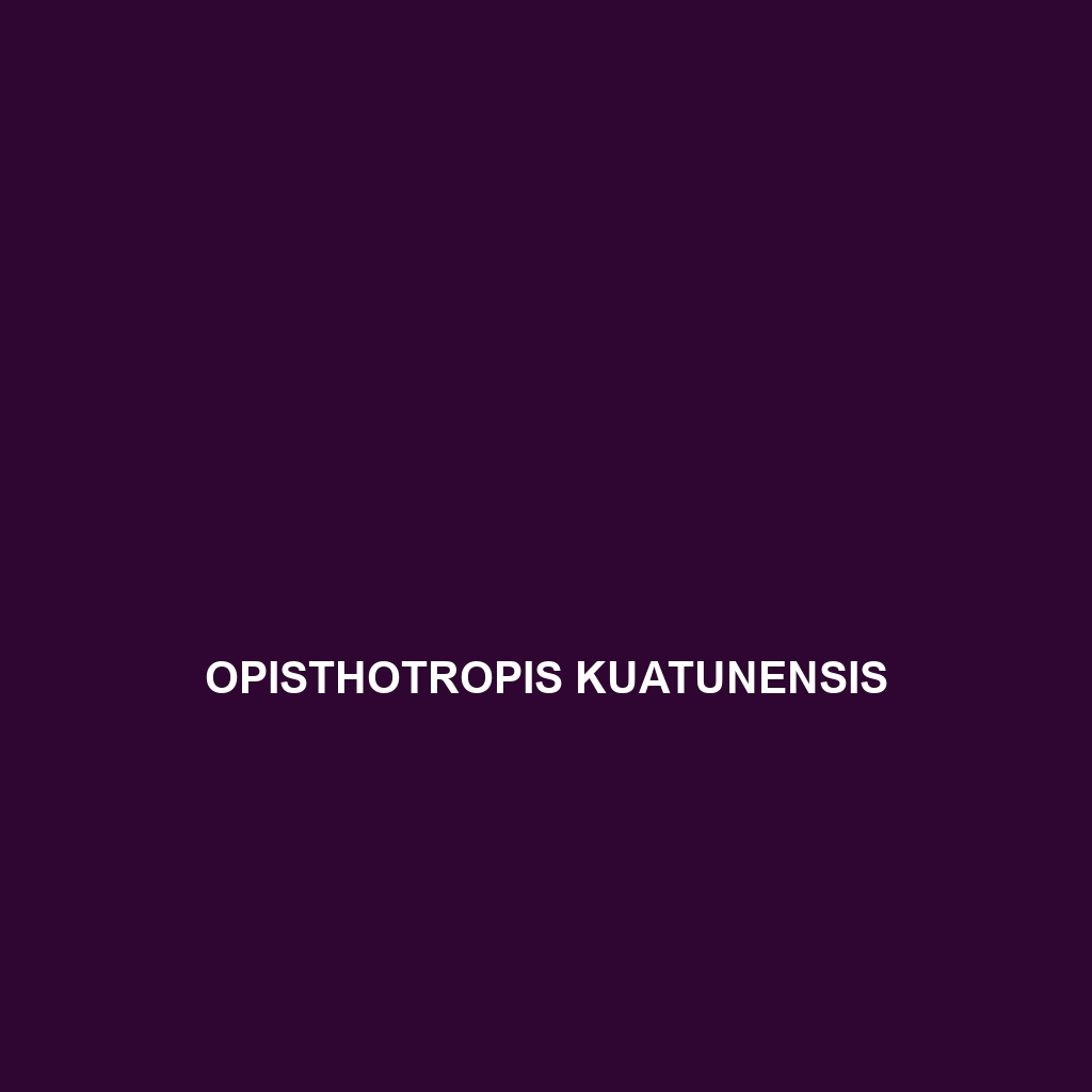 Opisthotropis kuatunensis