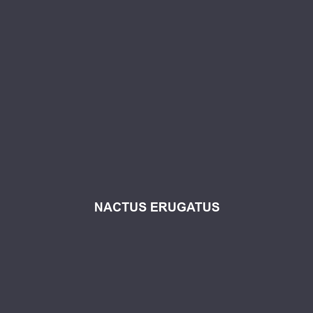 Nactus erugatus