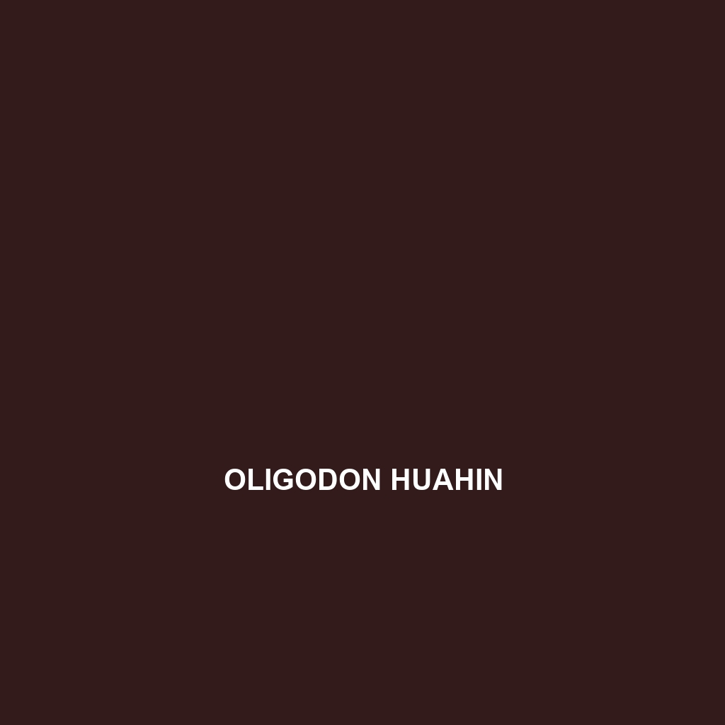 Oligodon huahin