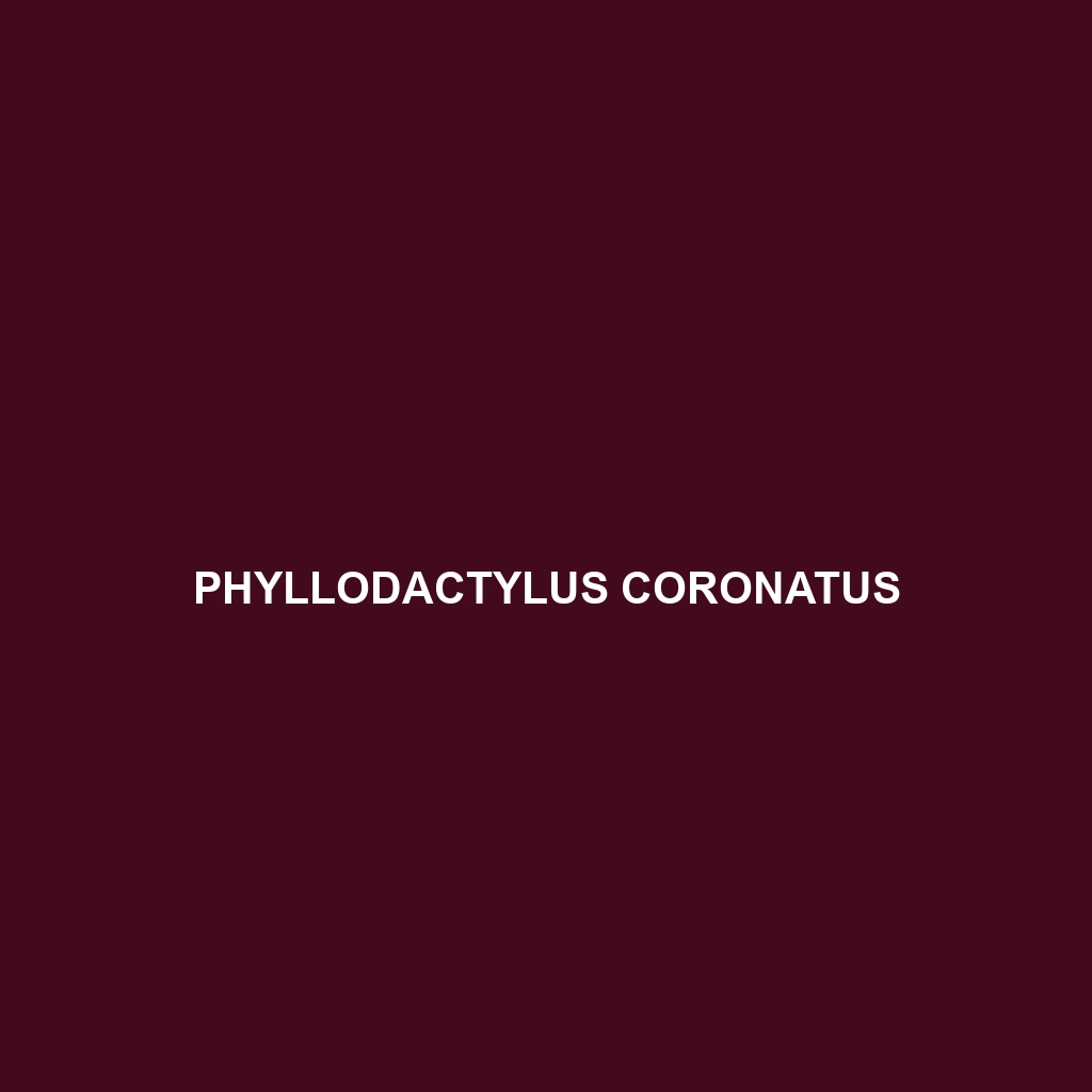 Phyllodactylus coronatus