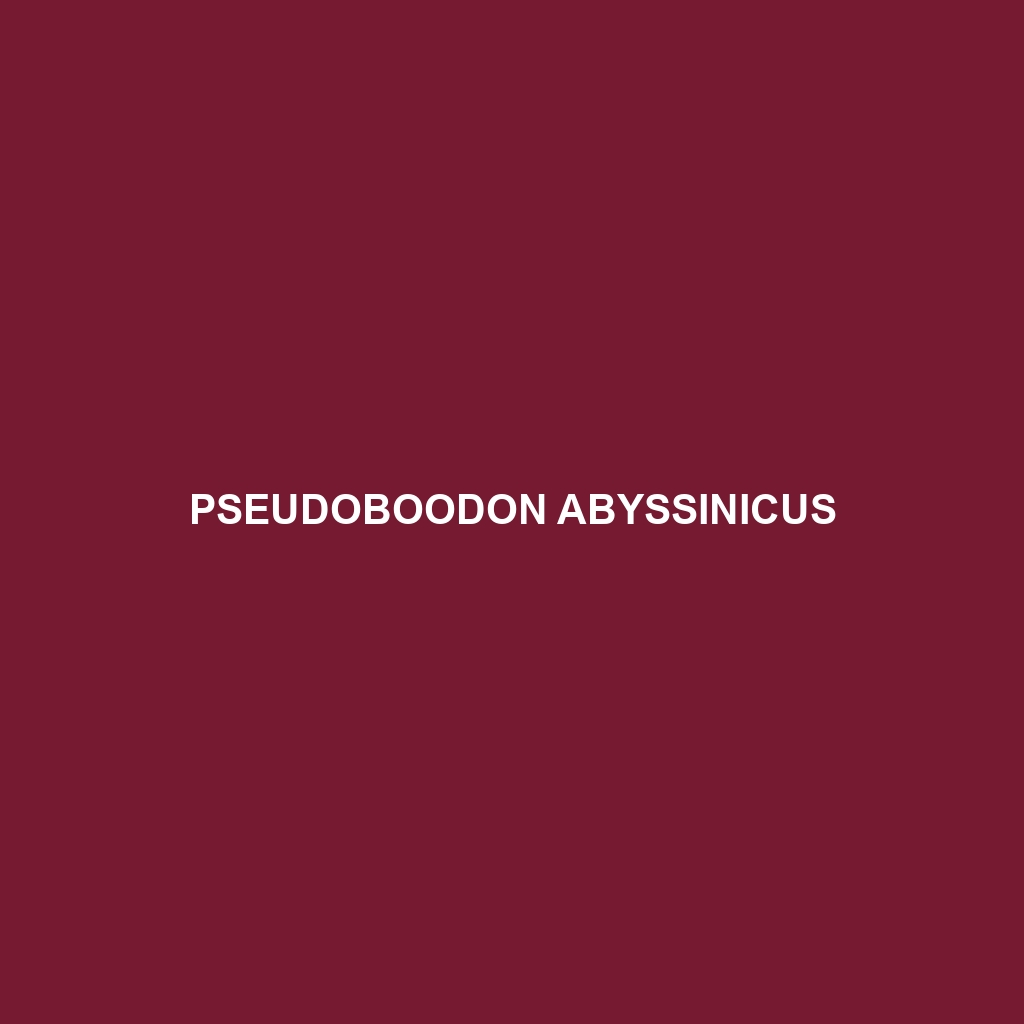 Pseudoboodon abyssinicus