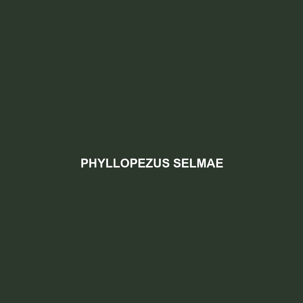 Phyllopezus selmae