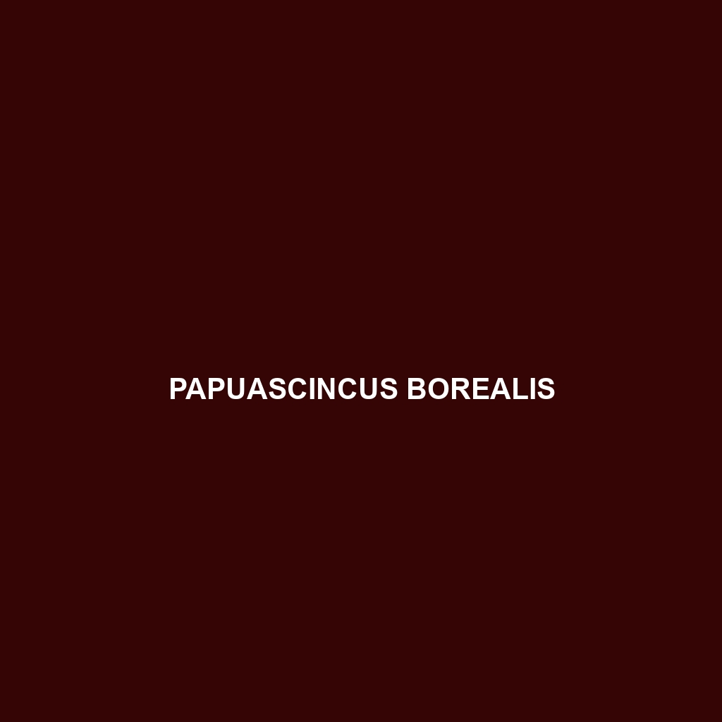 Papuascincus borealis