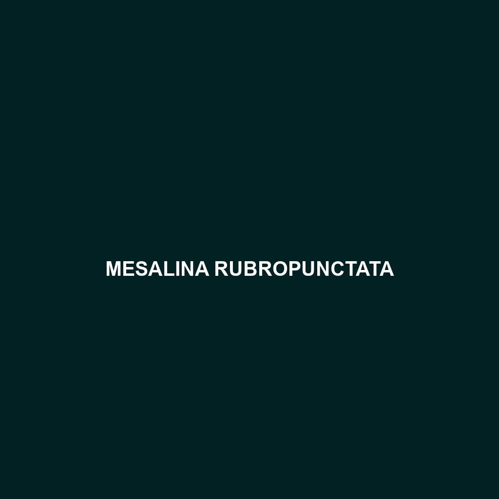 Mesalina rubropunctata