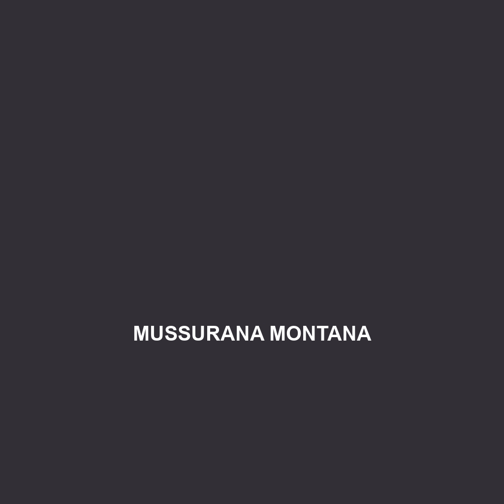 Mussurana montana