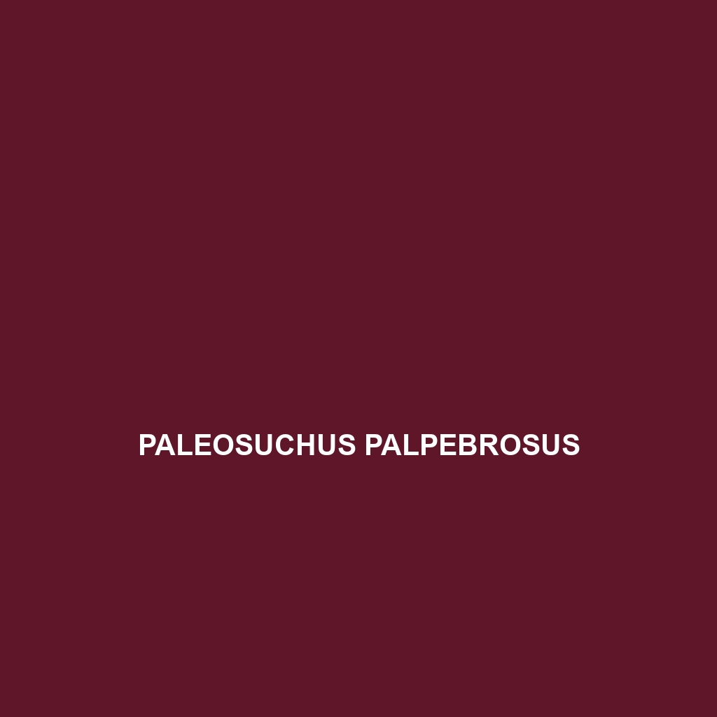 Paleosuchus palpebrosus