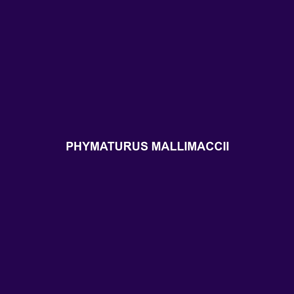 Phymaturus mallimaccii