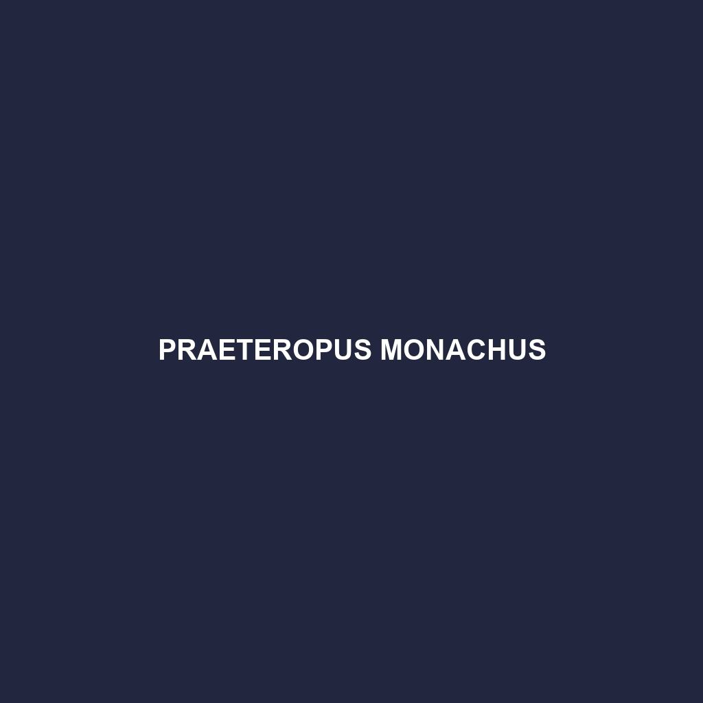 Praeteropus monachus