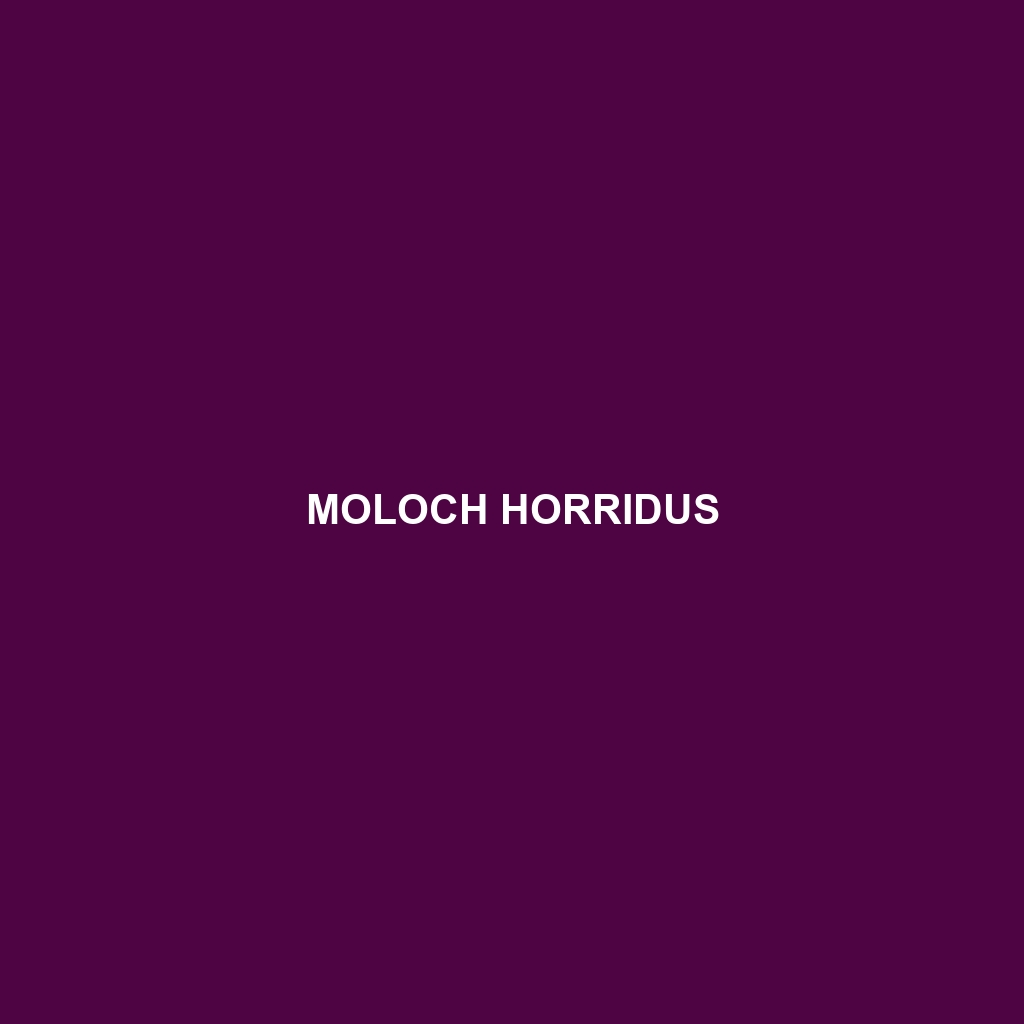 Moloch horridus