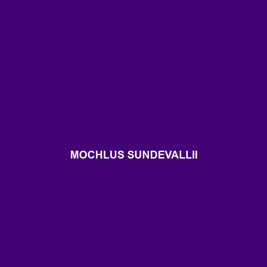 Mochlus sundevallii