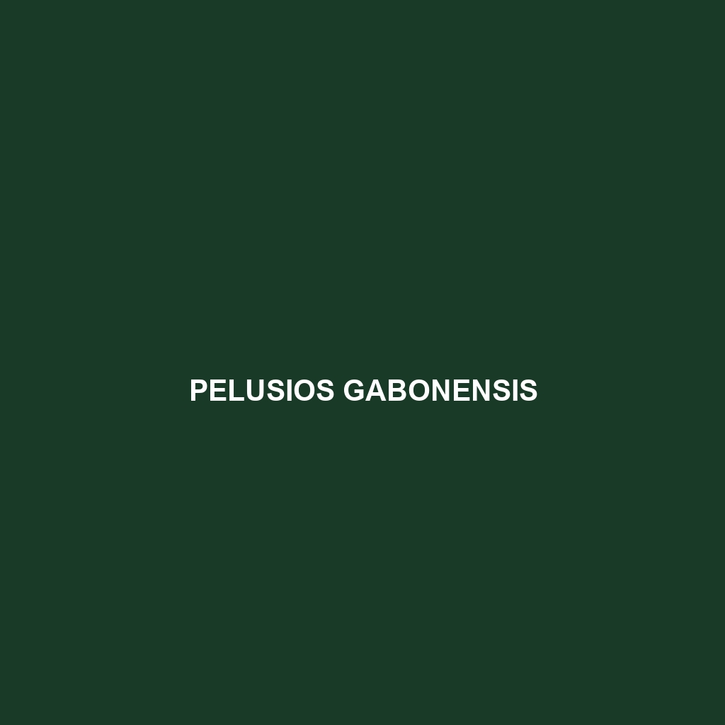 Pelusios gabonensis