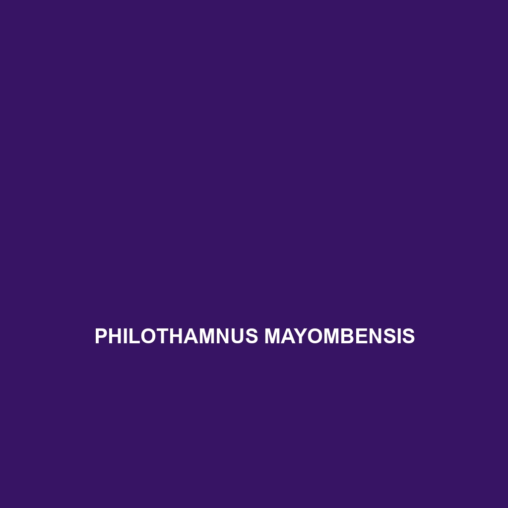 Philothamnus mayombensis