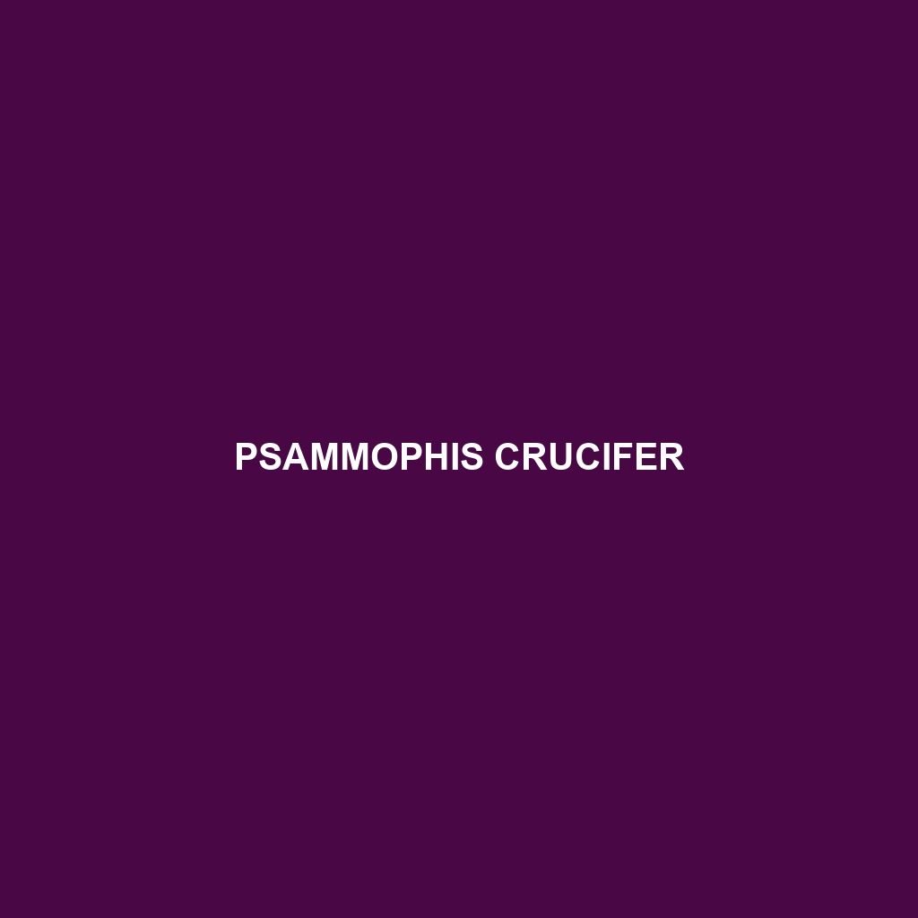 Psammophis crucifer