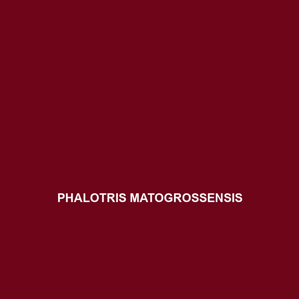 Phalotris matogrossensis