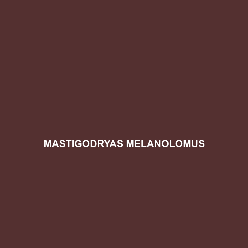 Mastigodryas melanolomus