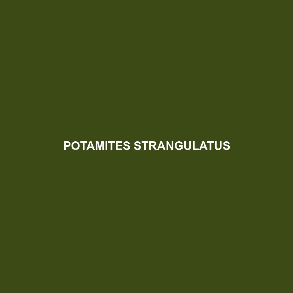 Potamites strangulatus