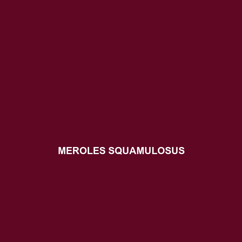 Meroles squamulosus