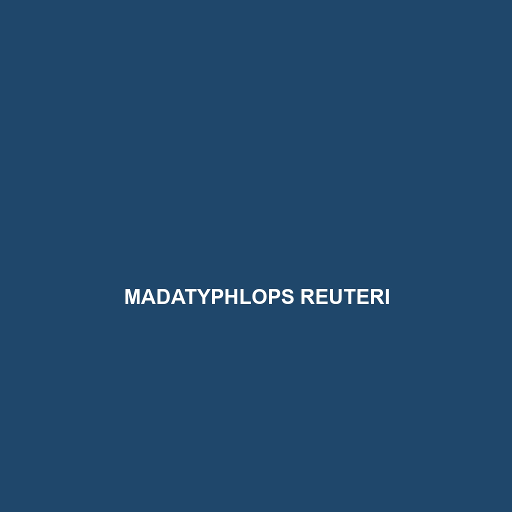 Madatyphlops reuteri