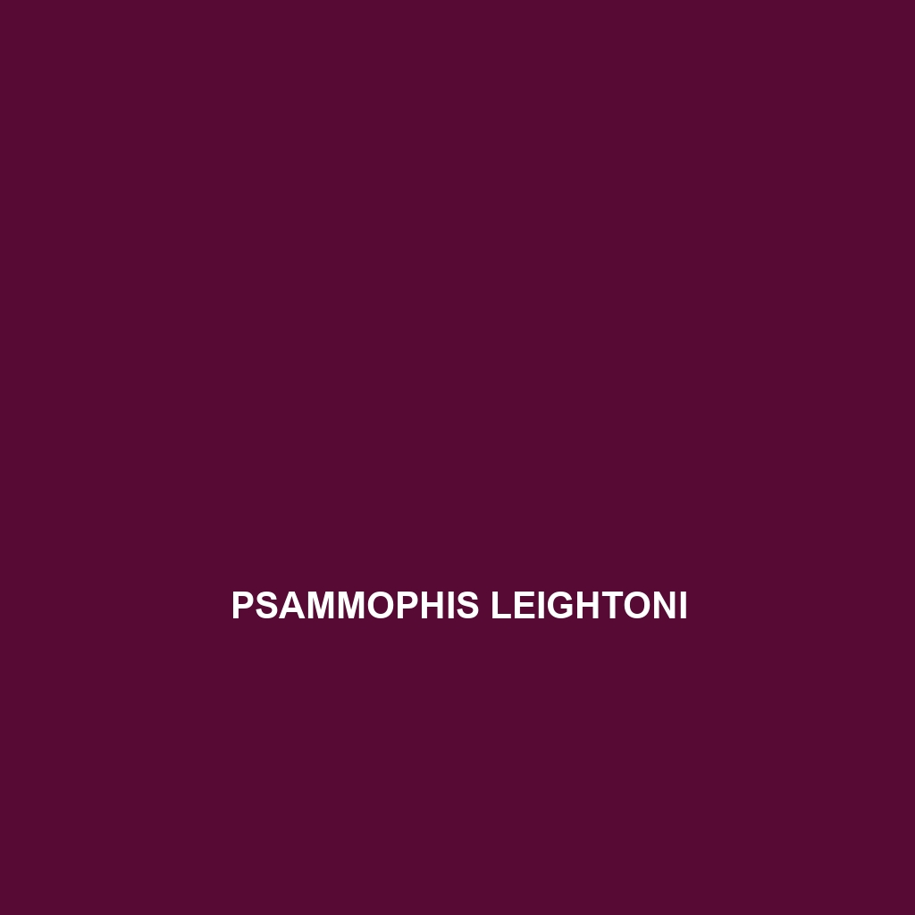 Psammophis leightoni