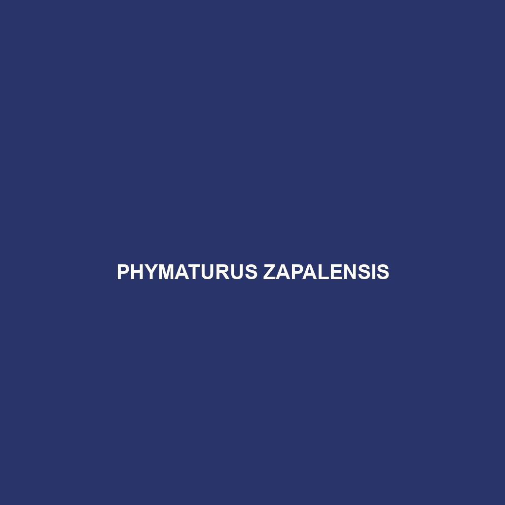 Phymaturus zapalensis