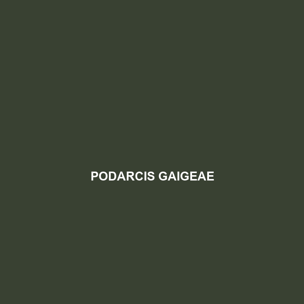 Podarcis gaigeae