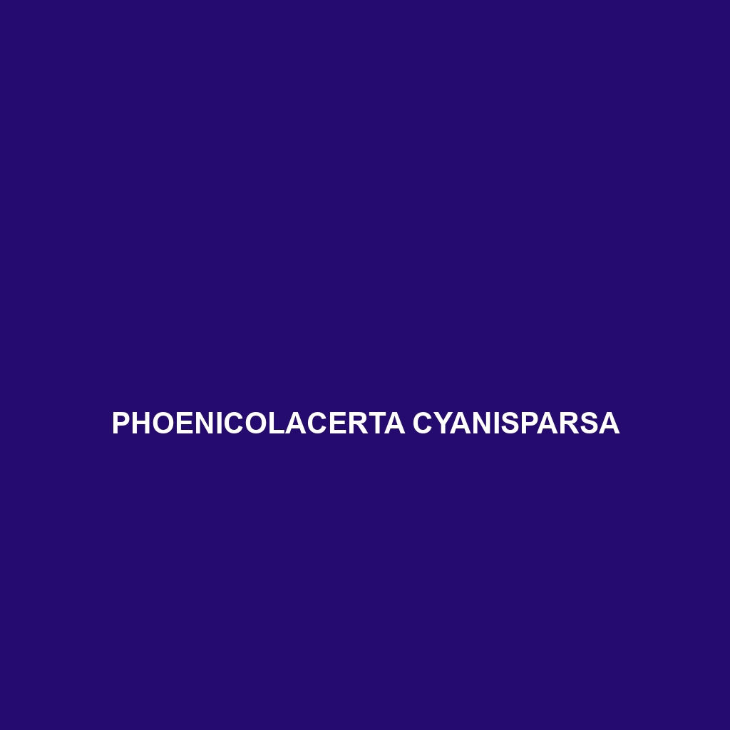 Phoenicolacerta cyanisparsa