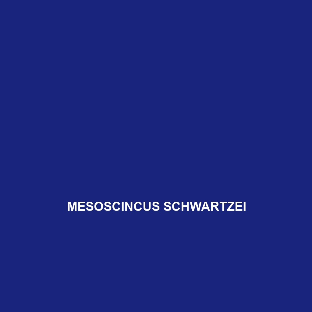 Mesoscincus schwartzei