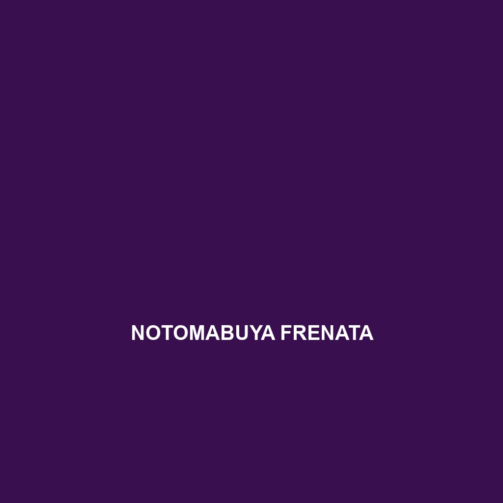 Notomabuya frenata