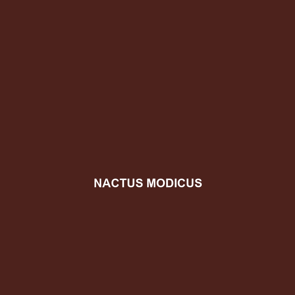 Nactus modicus