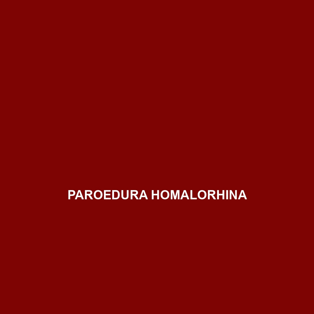 Paroedura homalorhina