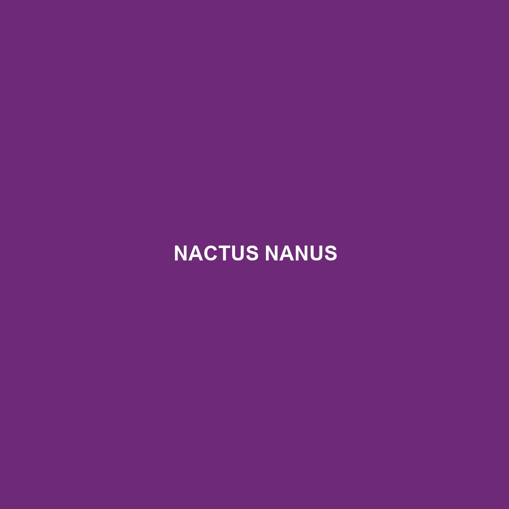 Nactus nanus