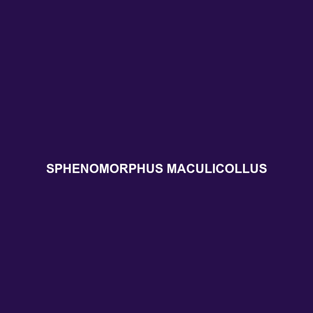 Sphenomorphus maculicollus