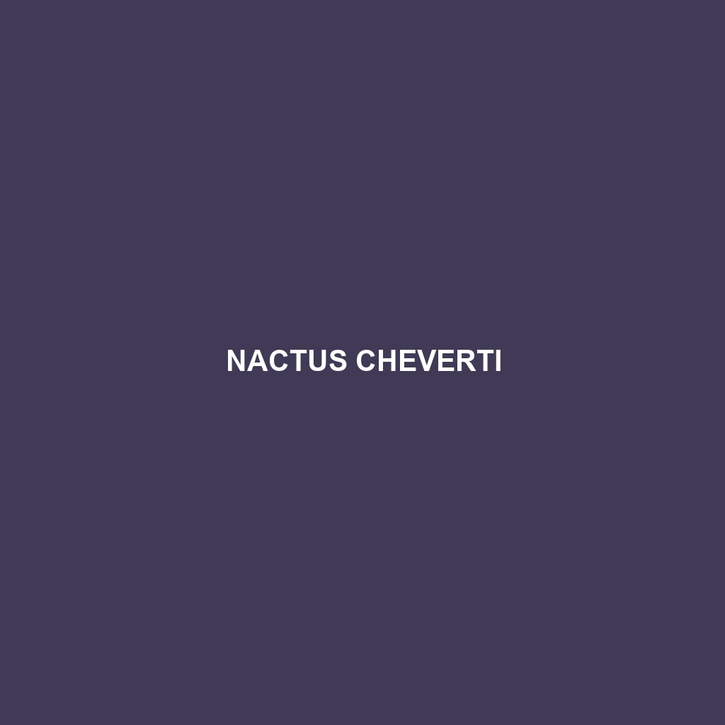 Nactus cheverti