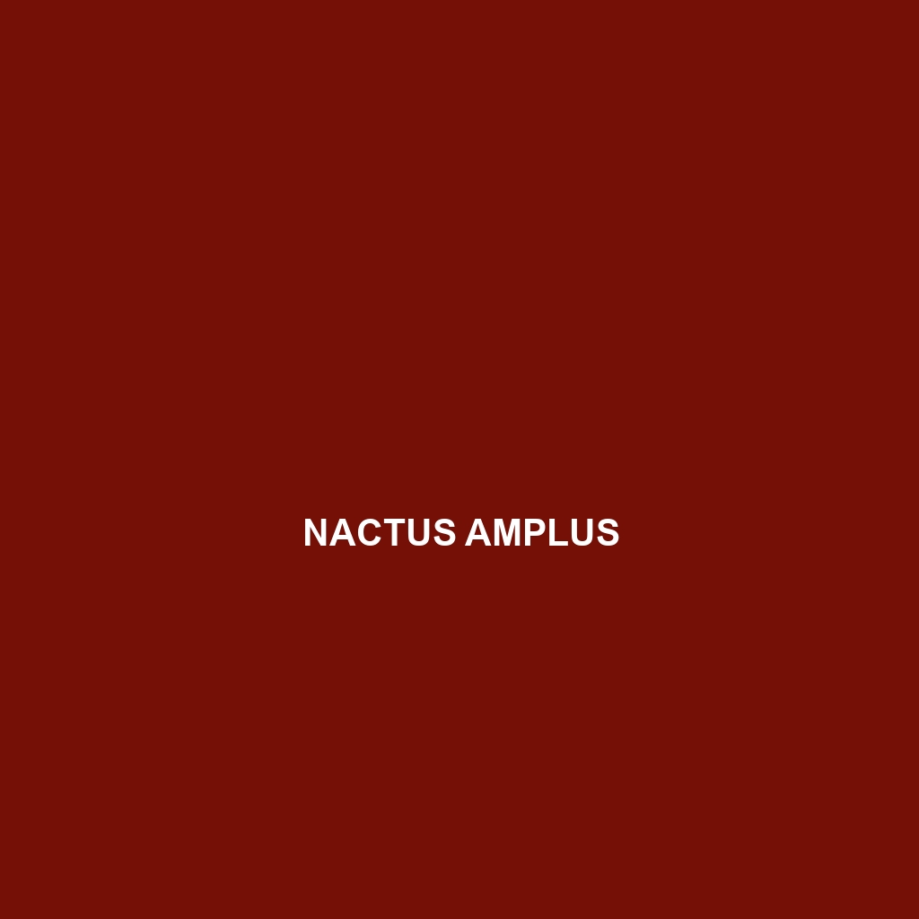 Nactus amplus