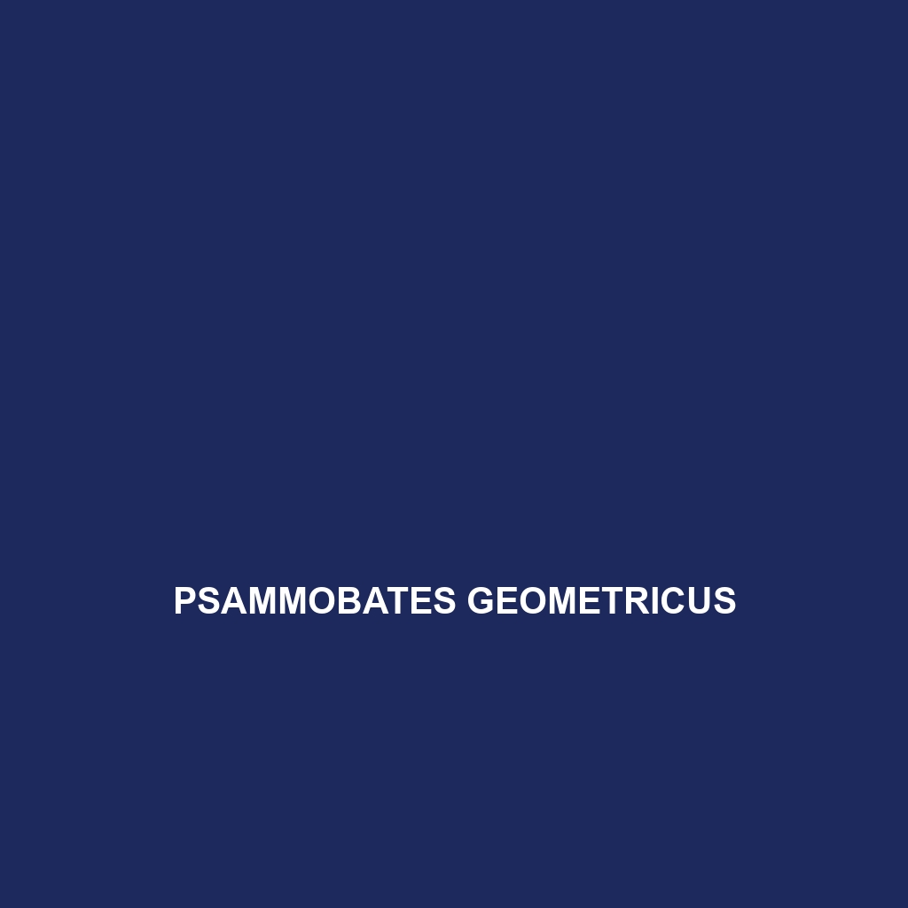 Psammobates geometricus