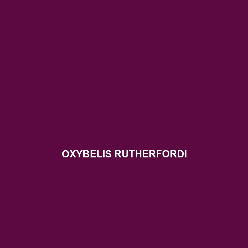 Oxybelis rutherfordi