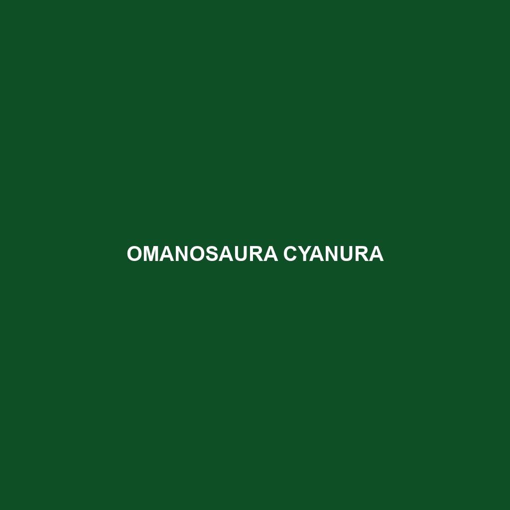 Omanosaura cyanura