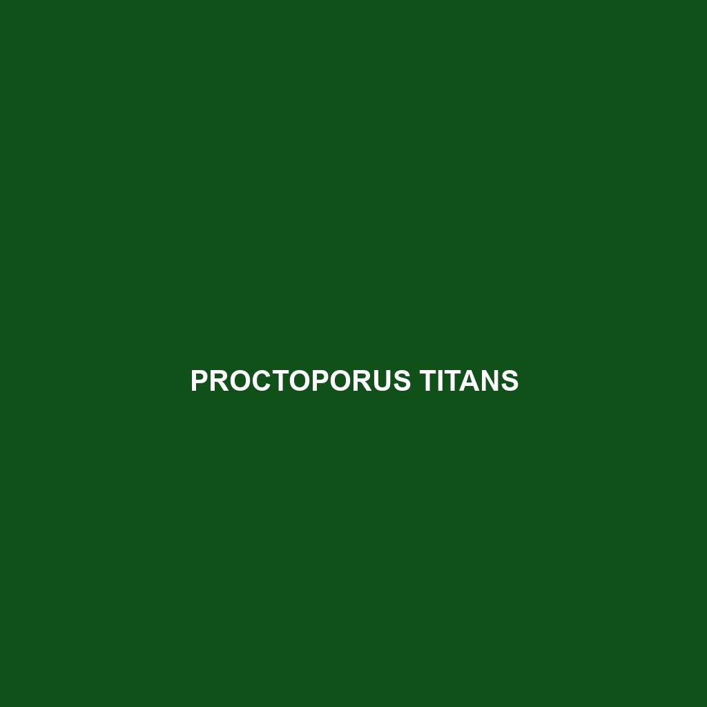 Proctoporus titans