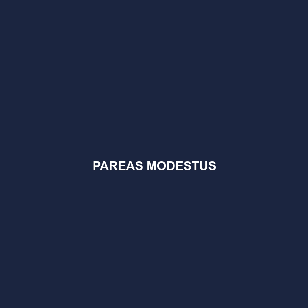 Pareas modestus