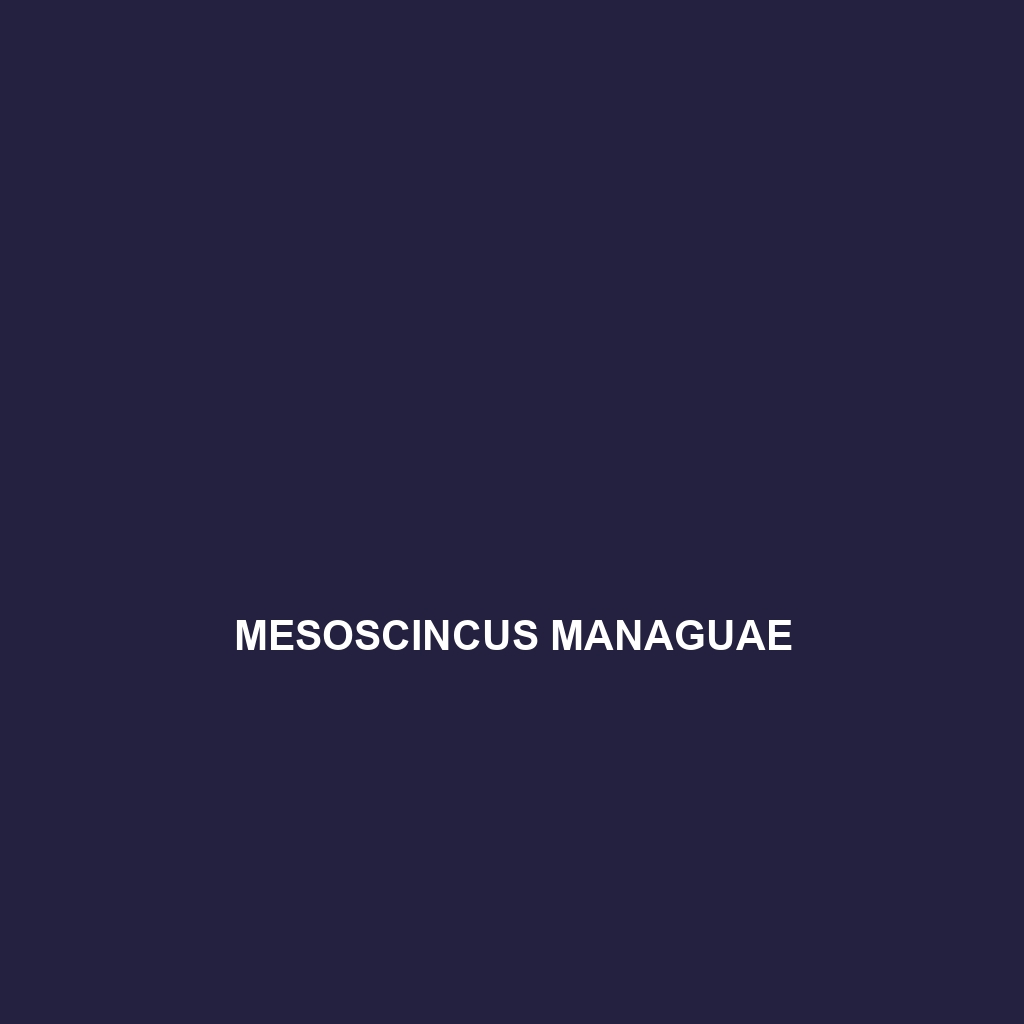 Mesoscincus managuae