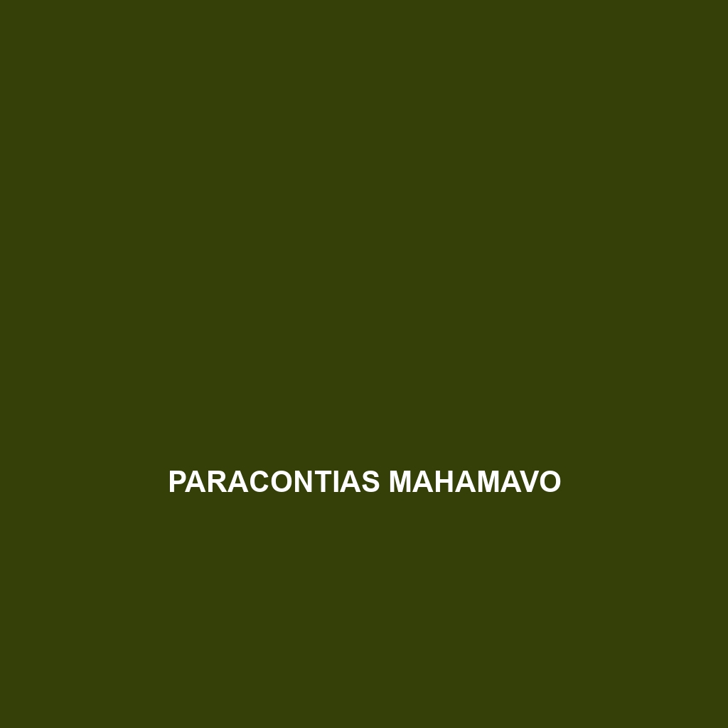 Paracontias mahamavo