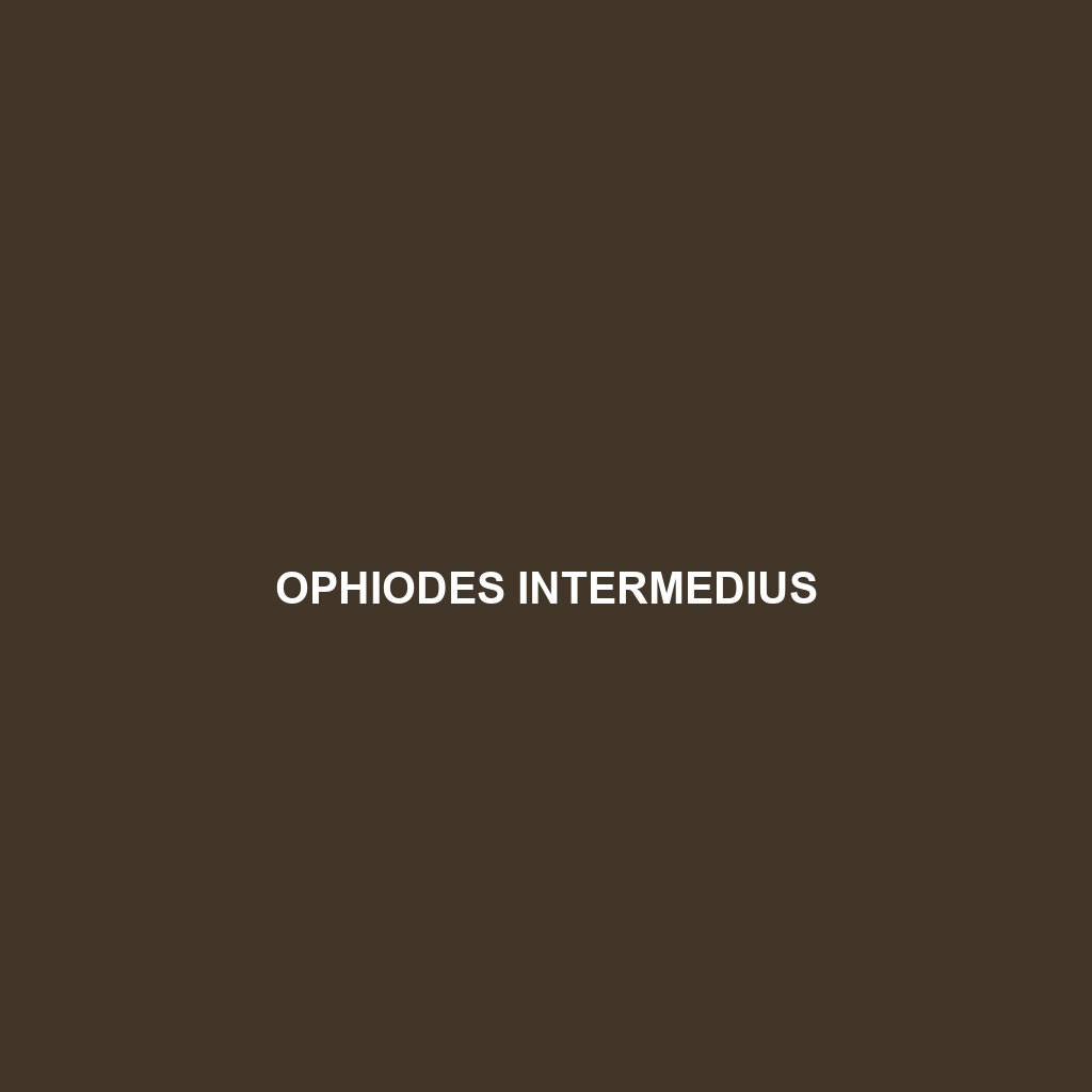 Ophiodes intermedius